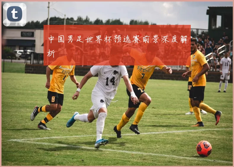 中国男足世界杯预选赛前景深度解析