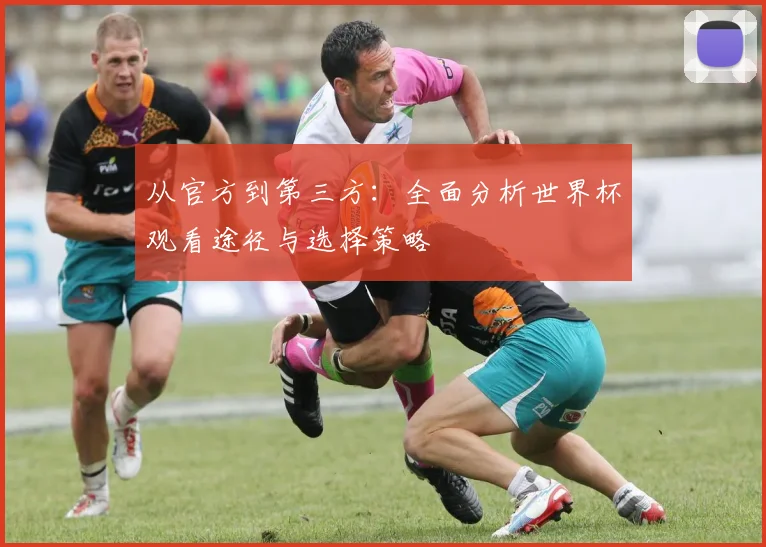从官方到第三方:全面分析世界杯观看途径与选择策略