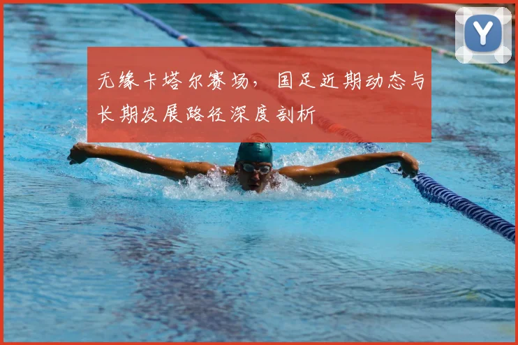 无缘卡塔尔赛场，国足近期动态与长期发展路径深度剖析