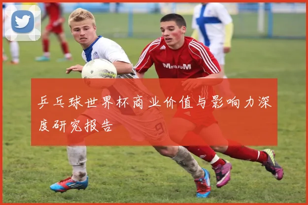 乒乓球世界杯商业价值与影响力深度研究报告