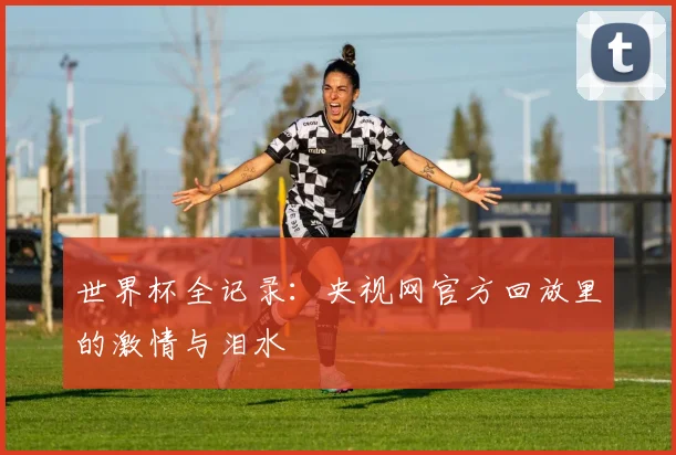 世界杯全记录:央视网官方回放里的激情与泪水