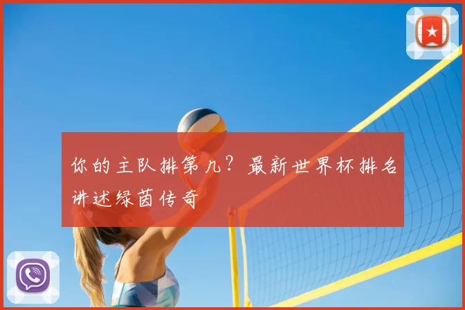 你的主队排第几?最新世界杯排名讲述绿茵传奇