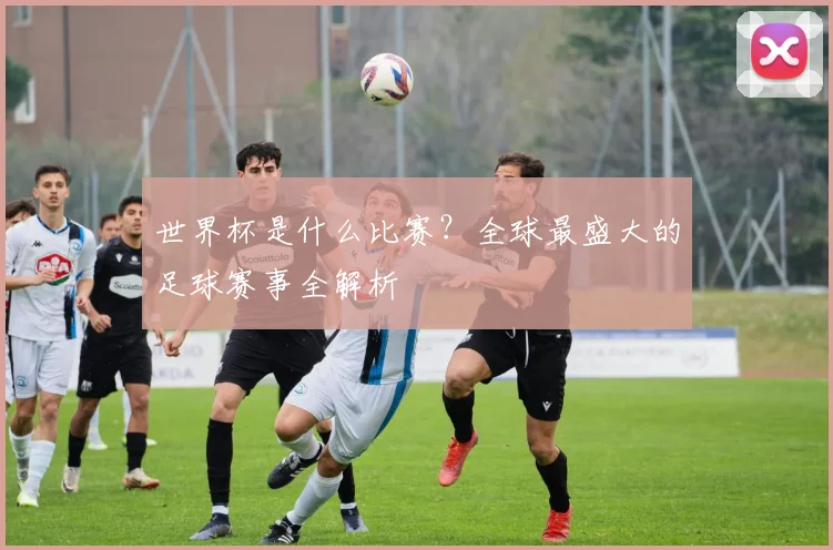 世界杯是什么比赛?全球最盛大的足球赛事全解析