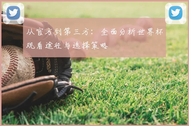 从官方到第三方:全面分析世界杯观看途径与选择策略