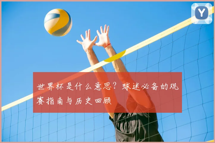 世界杯是什么意思?球迷必备的观赛指南与历史回顾