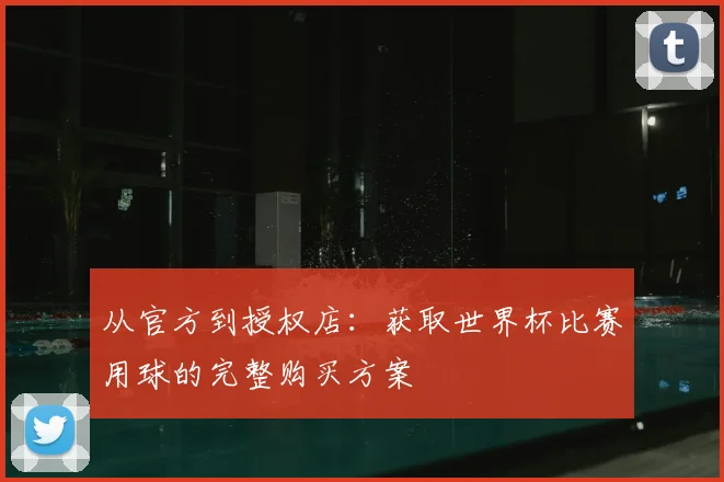 从官方到授权店:获取世界杯比赛用球的完整购买方案