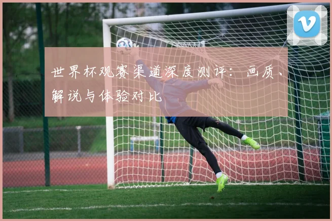 世界杯观赛渠道深度测评:画质、解说与体验对比